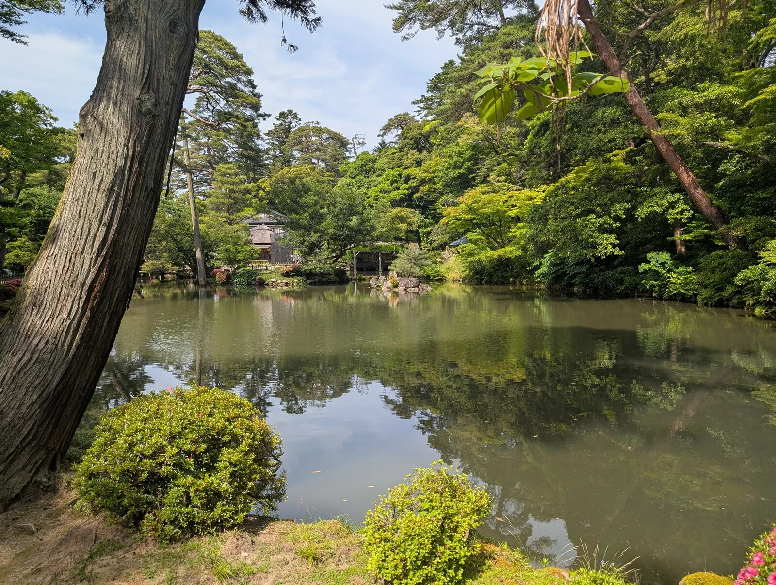 Water and greenery in Kenrokuen Garden