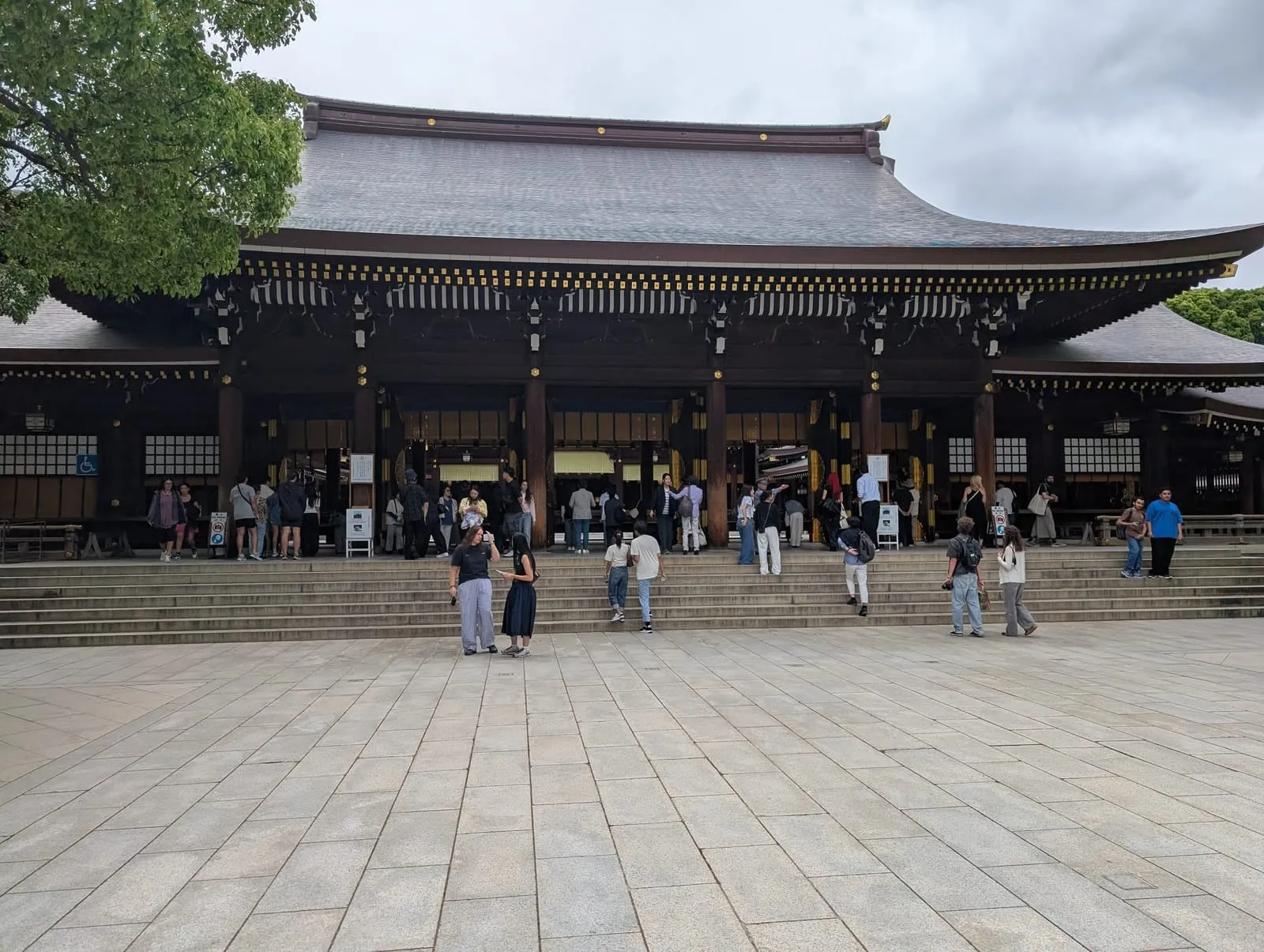 Bonsai display at Meiji Jingu