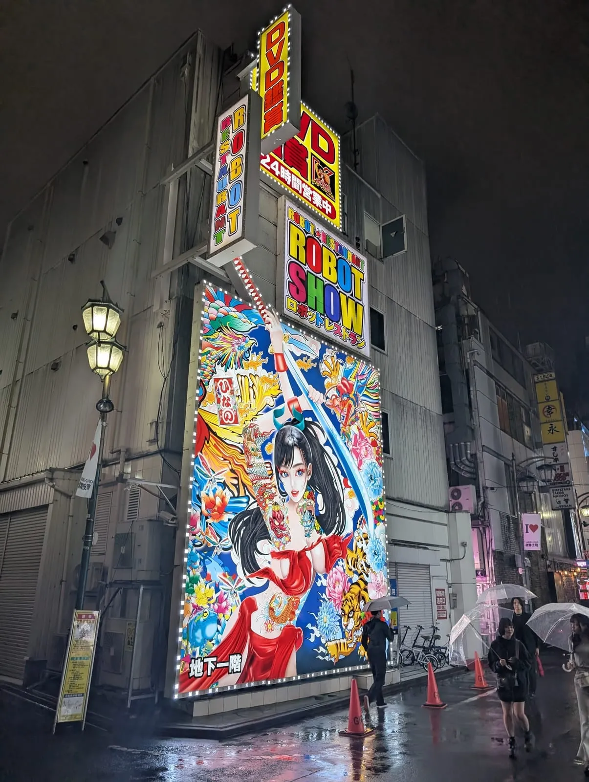 Kabukicho street scene at night